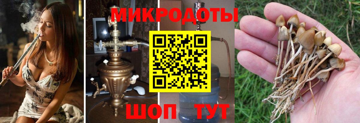 Галлюциногенные грибы мицелий  Вход с VPN  Краснокамск 