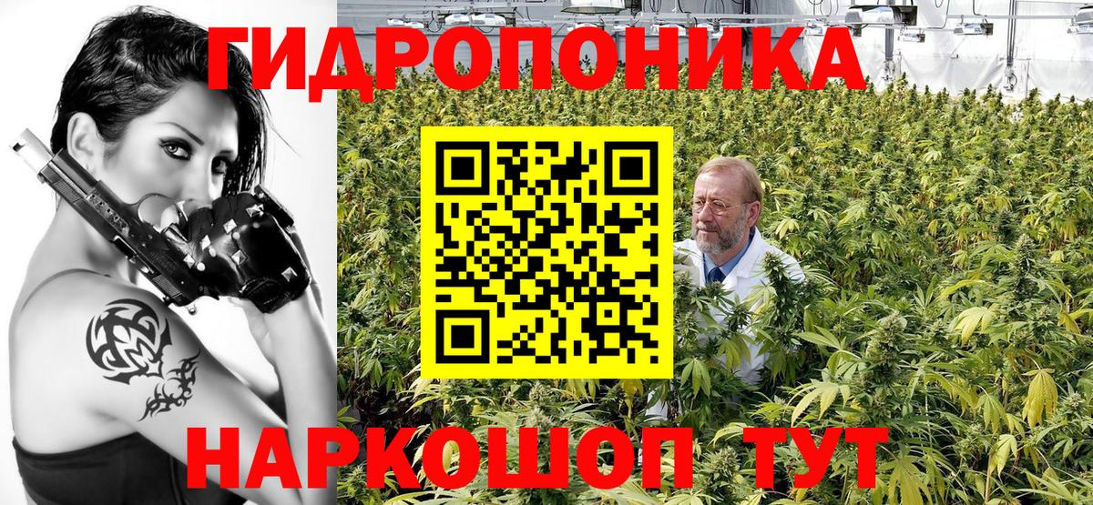 Краснокамск  Марихуана SATIVA & INDICA  Вход с VPN  Каннабис семена 